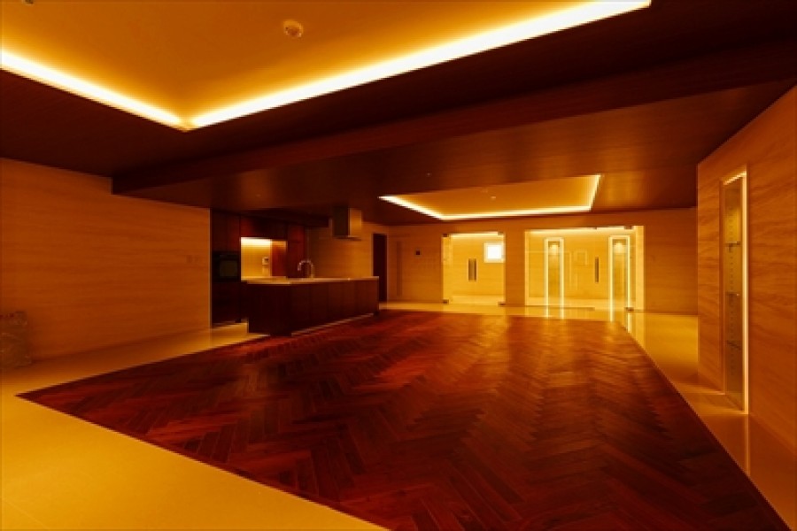 PREMIUM RESIDENCE SHIROKANECHOJAMARU