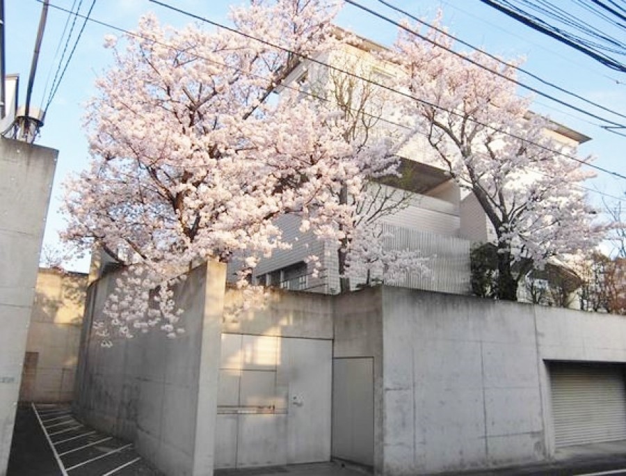 Shimokitazawa House