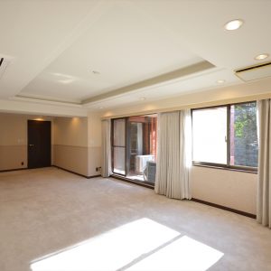 Paircity Renaissance Takanawa