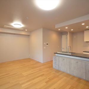 The San Maison Shirokanedai 5-chome