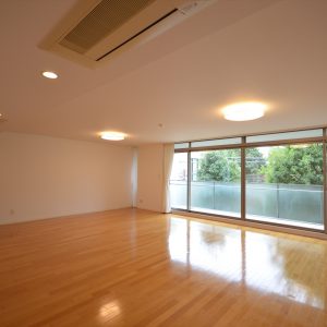 Glass Green Shoto #202